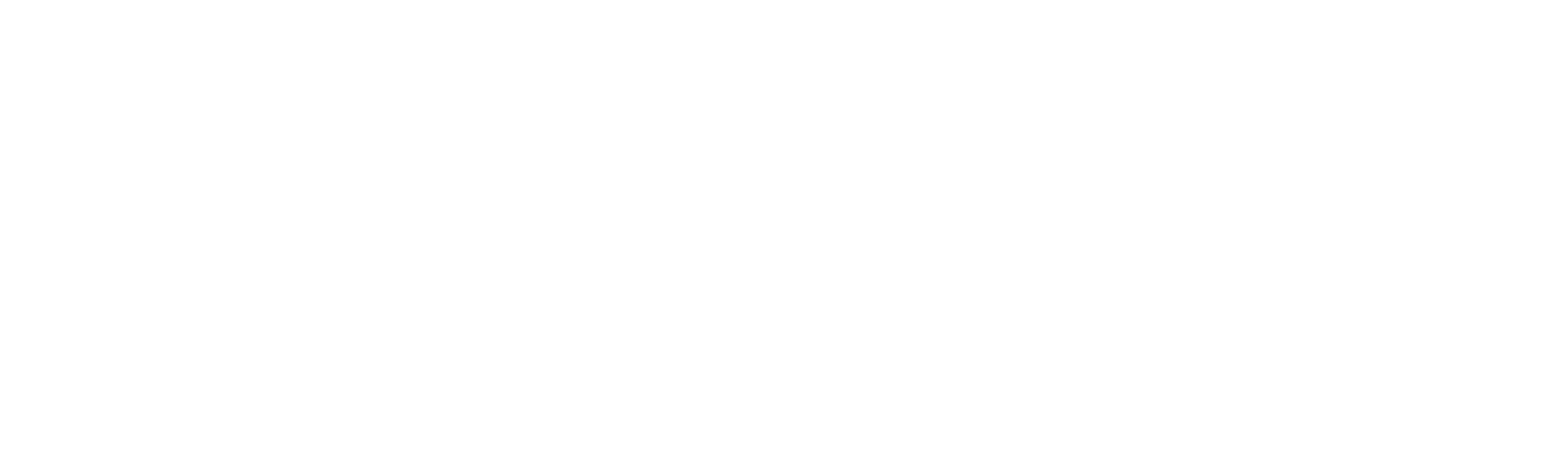 Devin Logistics